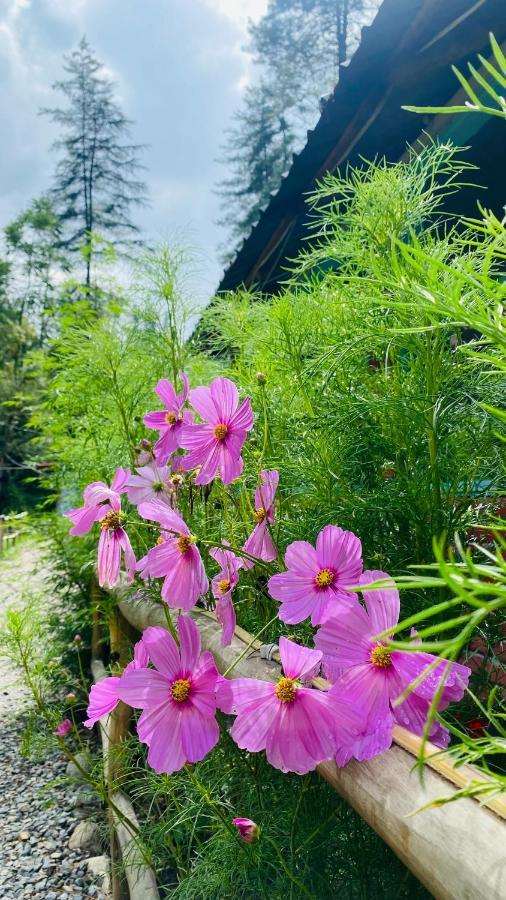 Himtrek Riverside Camps, Kasol Zewnętrze zdjęcie