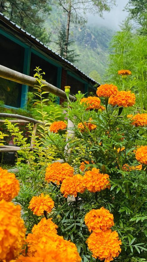 Himtrek Riverside Camps, Kasol Zewnętrze zdjęcie