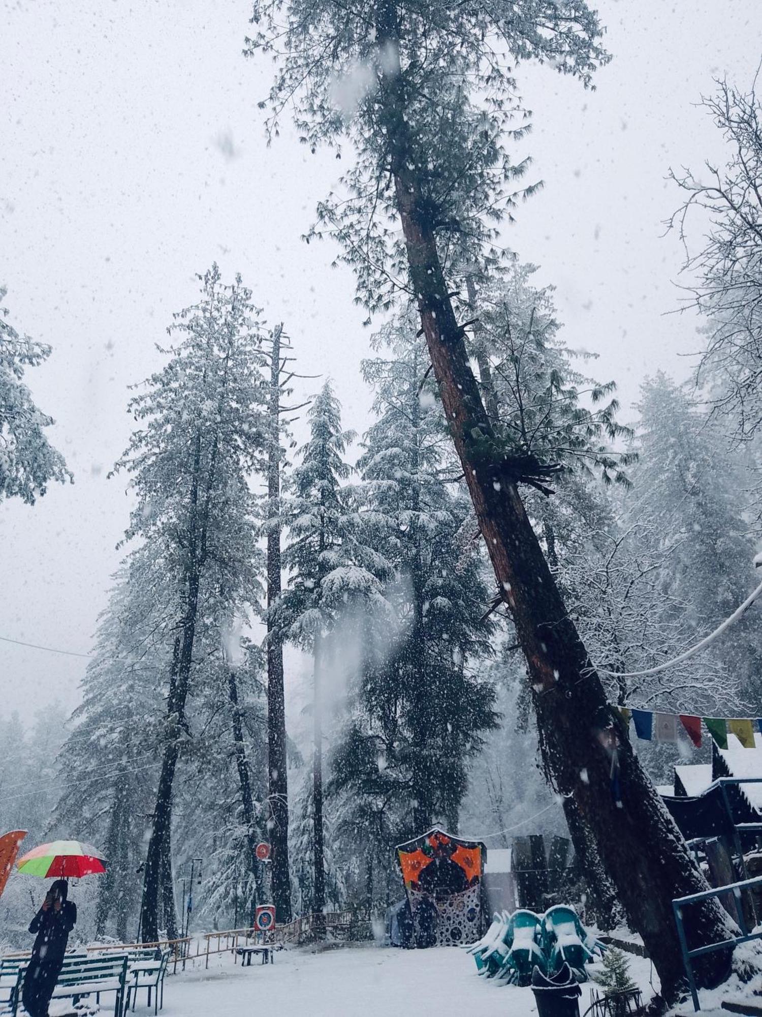 Himtrek Riverside Camps, Kasol Zewnętrze zdjęcie